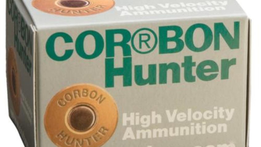 Cor Bon .454 Casull 335 Grain Hard Cast Jacketed Hollow Point Brass Cased Pistol Ammo, 20 Rounds, HT454335HC/20